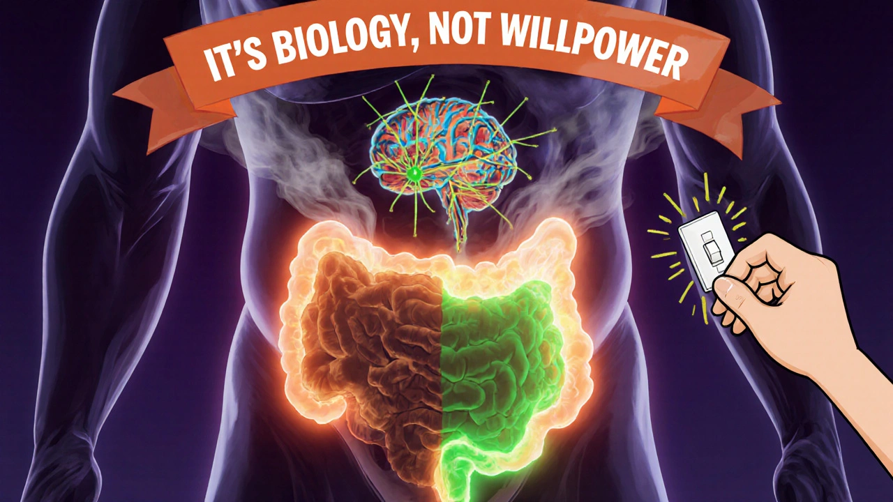 Body with inflamed fat tissue and a new neuron cluster stopping eating instantly.