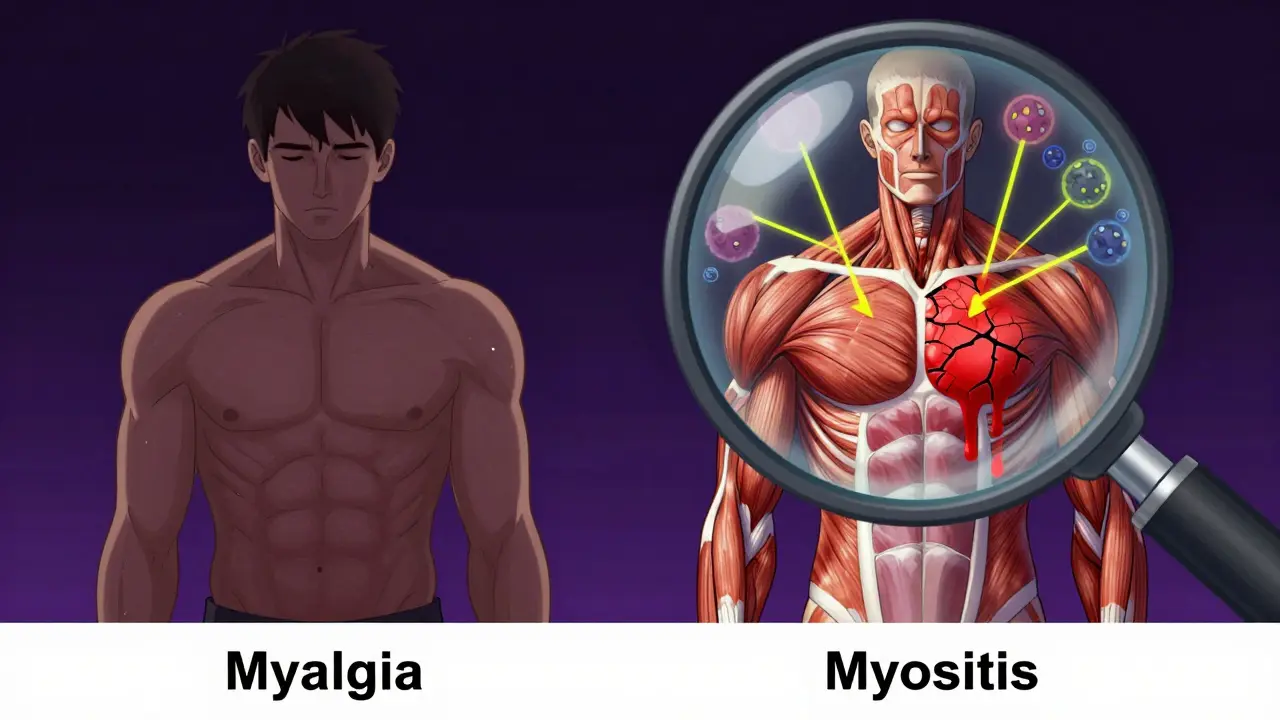 Contrasting images of mild muscle ache versus damaged muscle with elevated CK levels leaking from fibers.